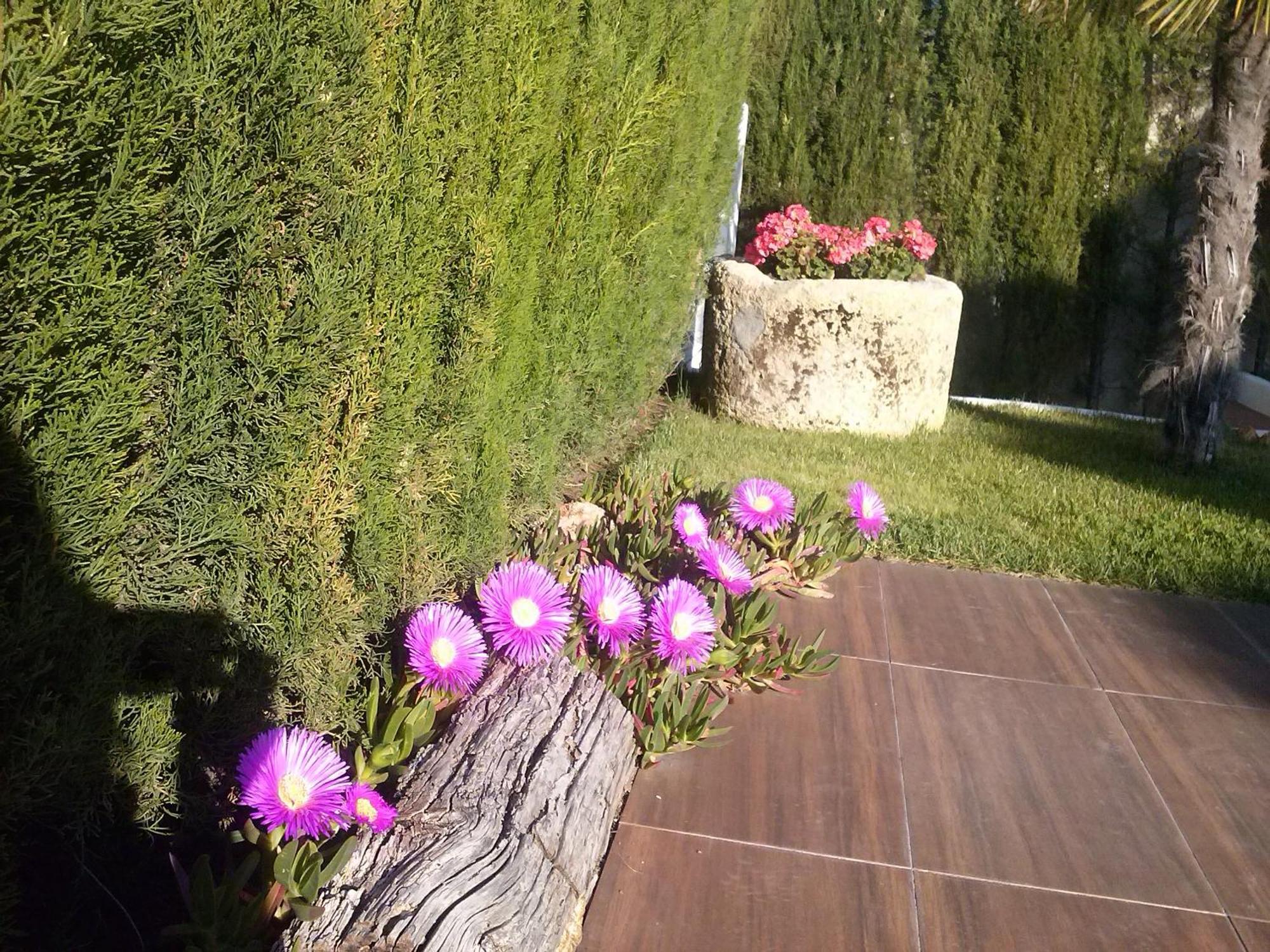 Chalet Airam Monachil Bagian luar foto